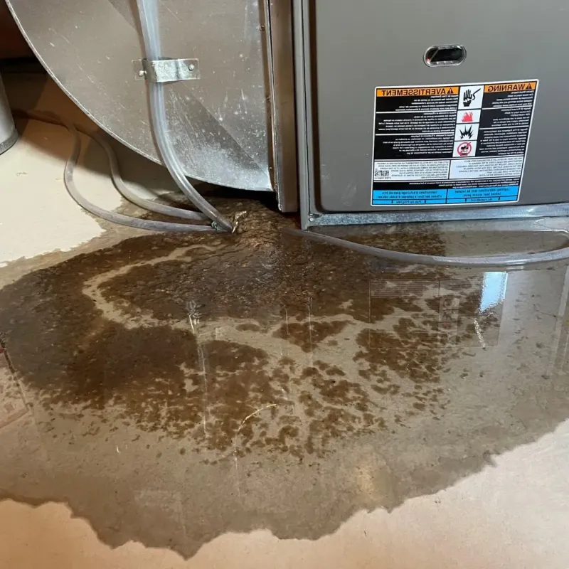 Pipe Burst and Leak Restoration in El Cerrito, CA